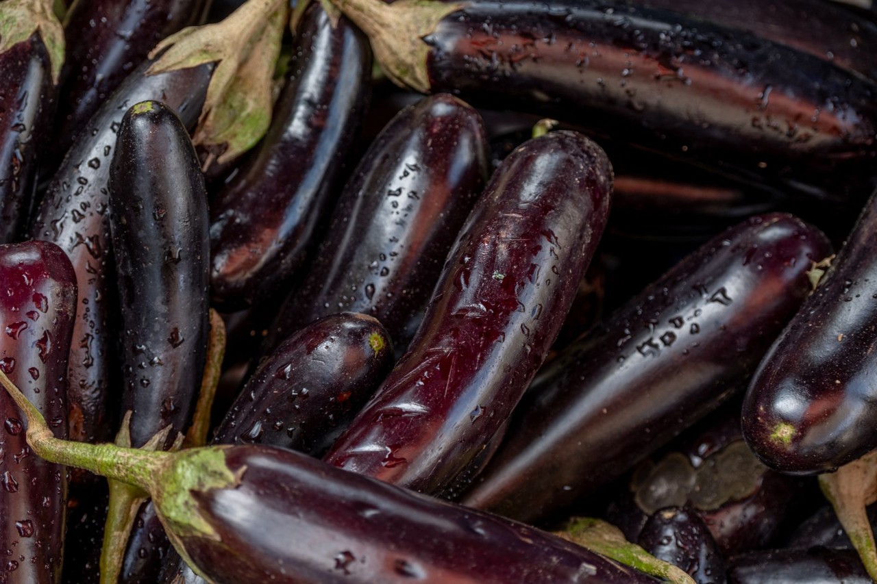 Aubergine de saison