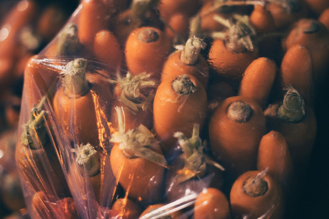 Carotte de saison