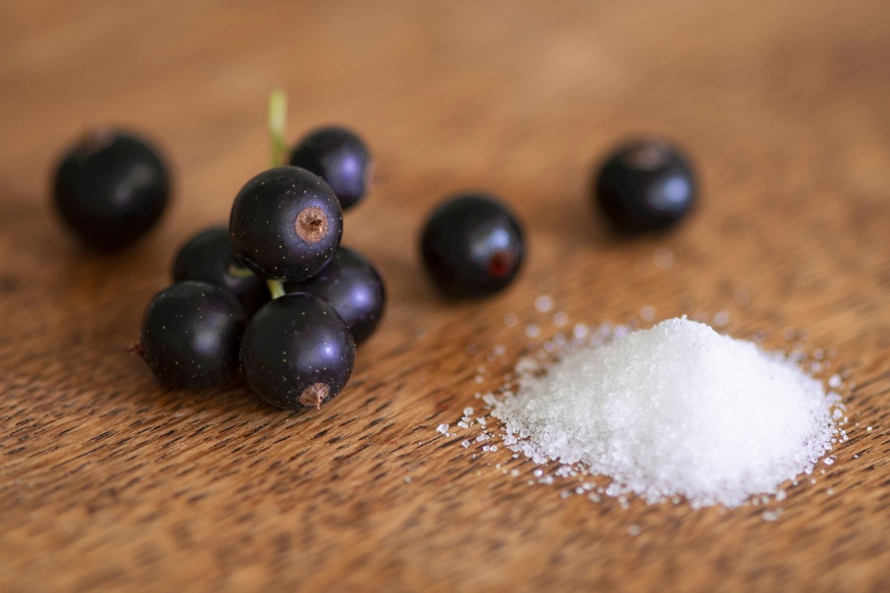 Cassis de saison