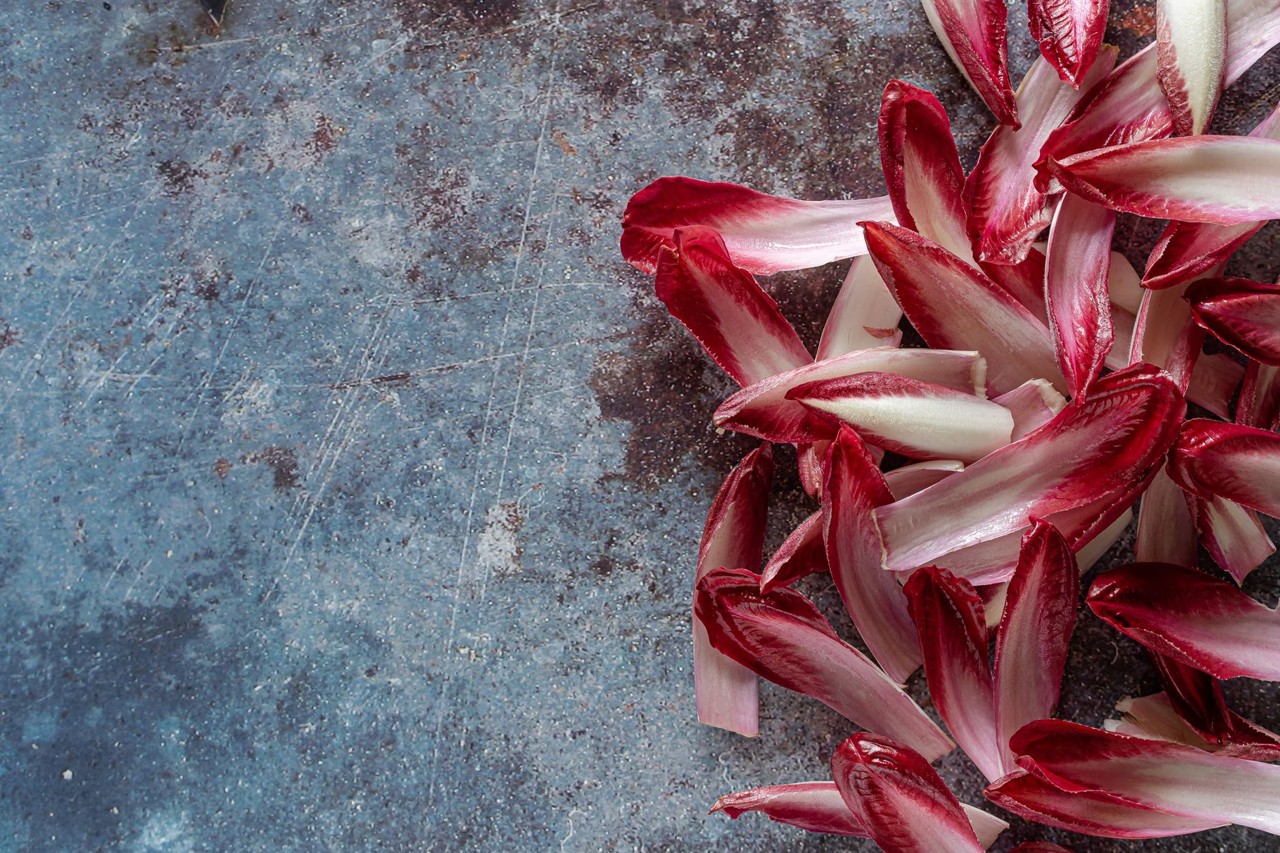 Endive de saison