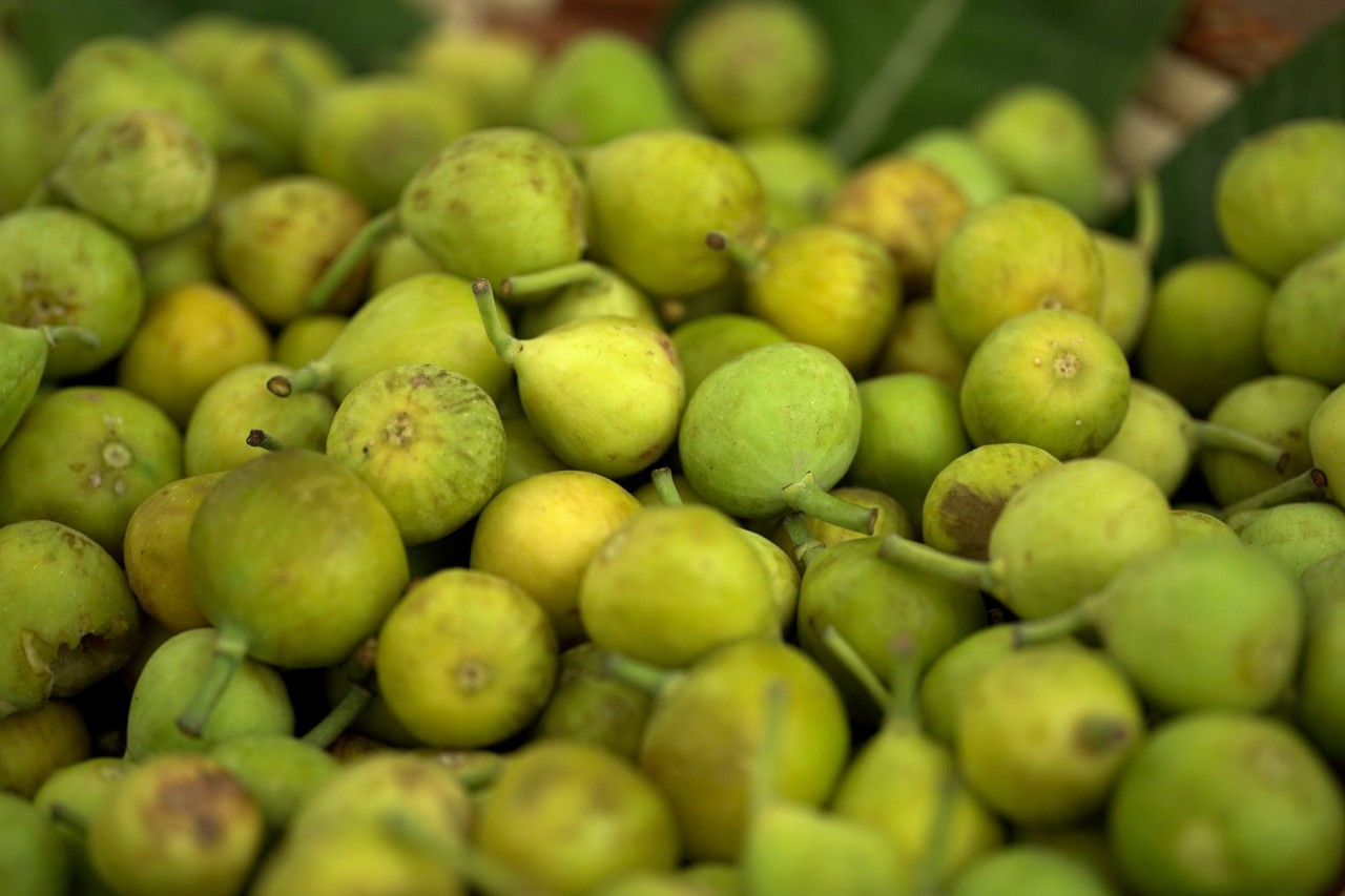 Figue de saison