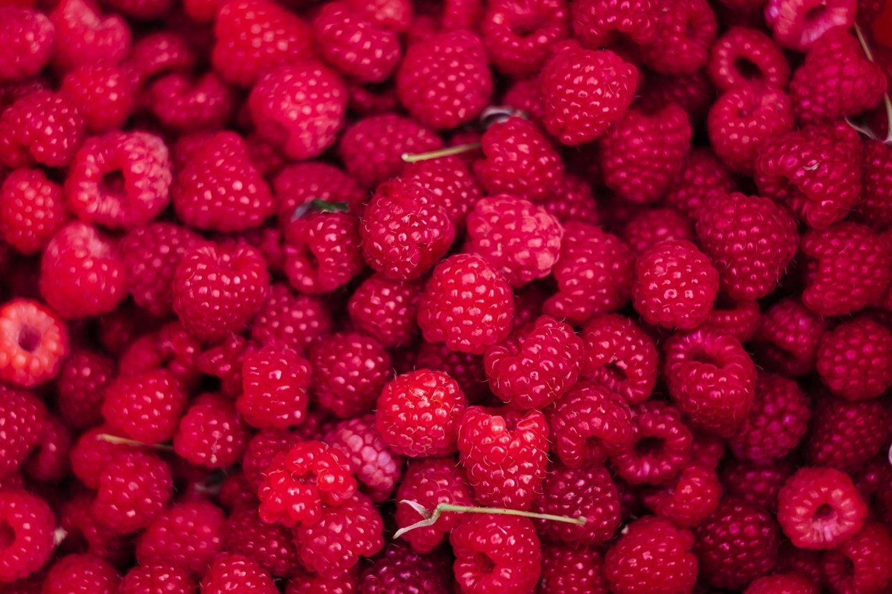 Framboise de saison
