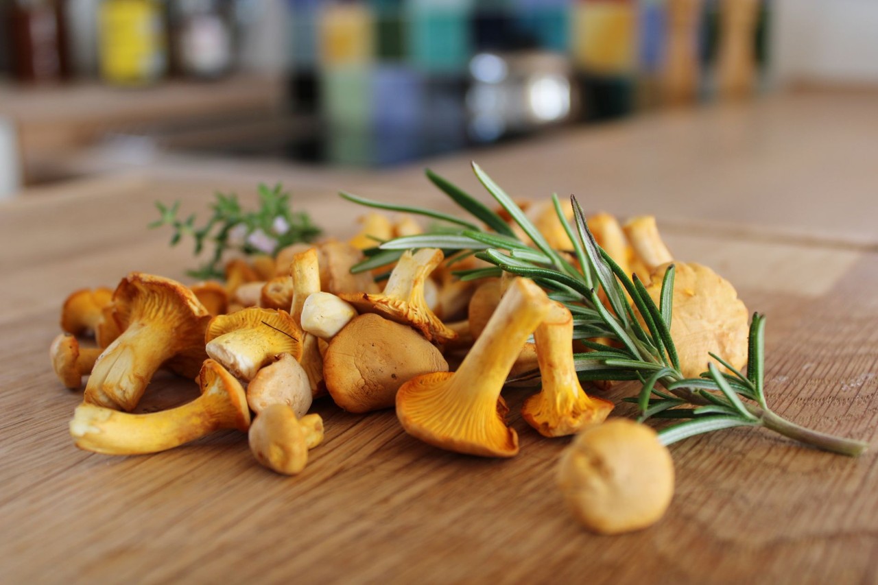 Girolle de saison