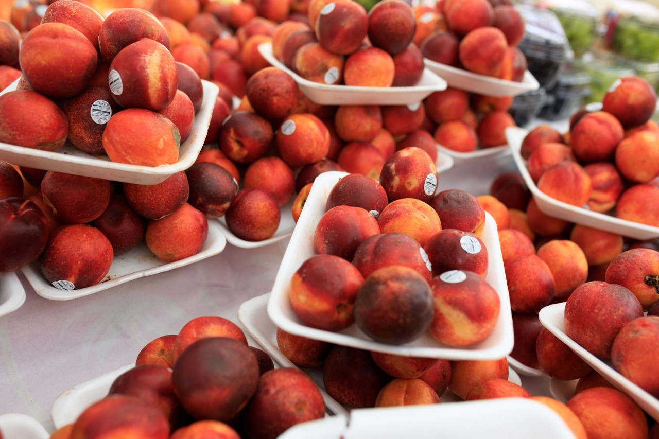Pêche de saison