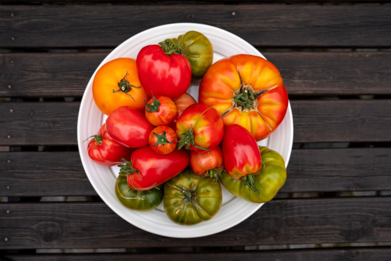 Tomate de saison