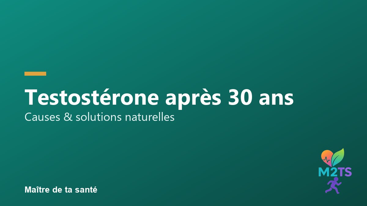 Baisse de testostérone après 30 ans : ce qui est vrai (et quoi faire)