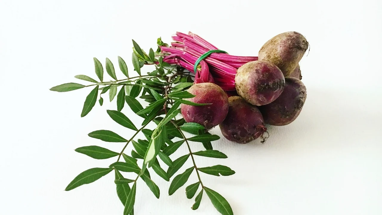 La betterave : comment ses nitrates optimisent la physiologie vasculaire