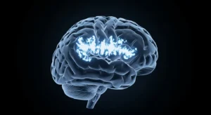 Privation de Sommeil et Cerveau : Comment le Manque de Repos Provoque des Défaillances