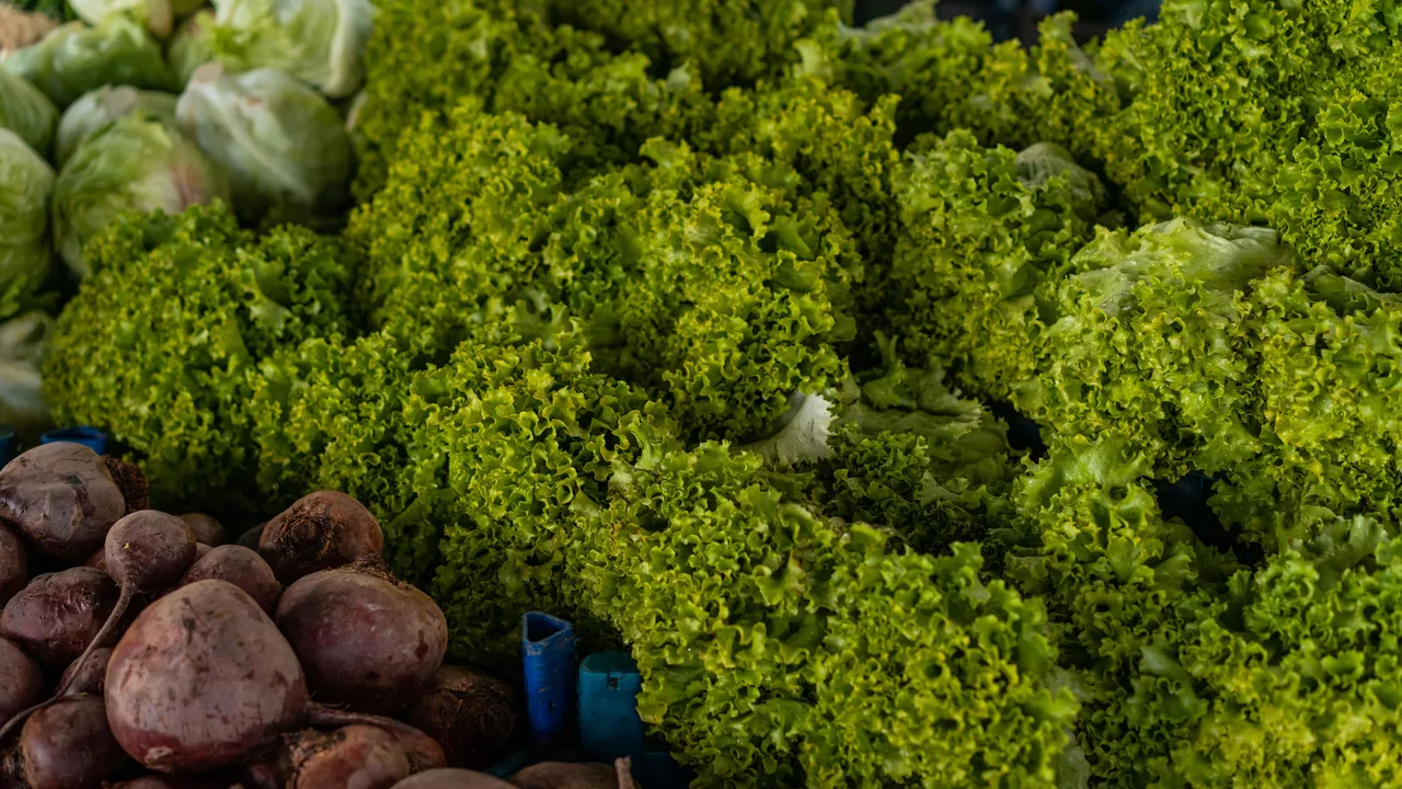 Assortiment de légumes frais (laitue, betterave) pour une alimentation saine et protectrice du foie