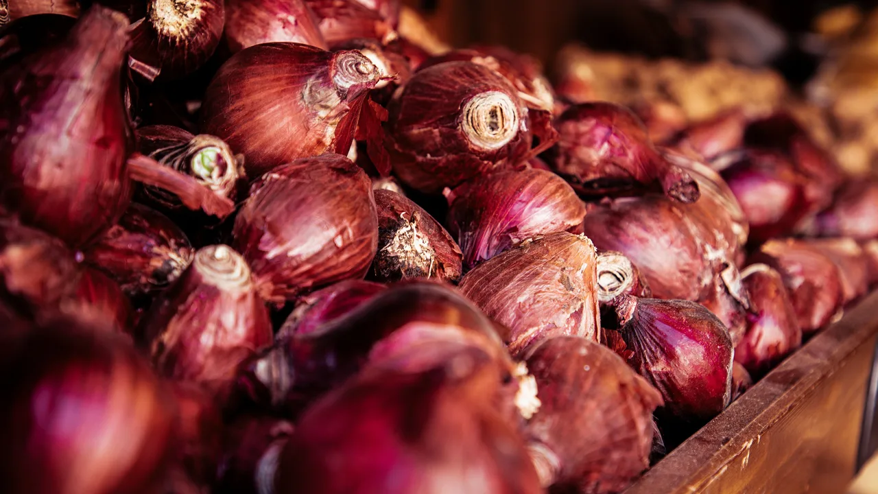 Oignons rouges frais dans une caisse en bois