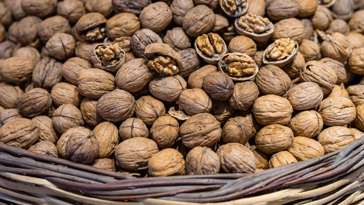Aliments et cerveau : ceux qui le fragilisent et ceux qui le protègent